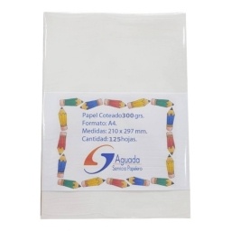 PAPEL COTEADO SP GLOSSY A4 300GR. X125H.